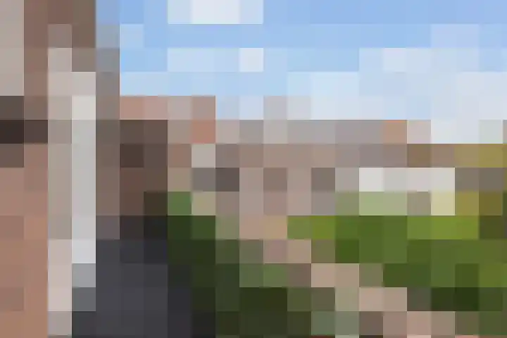 Toulonselaan 141 Dordrecht thumbnail 36