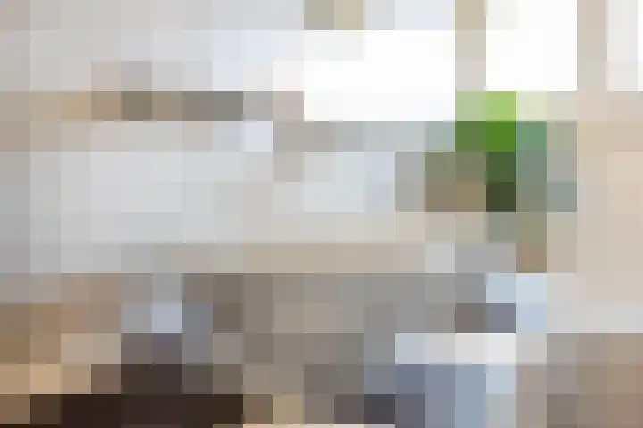 Toulonselaan 141 Dordrecht thumbnail 38