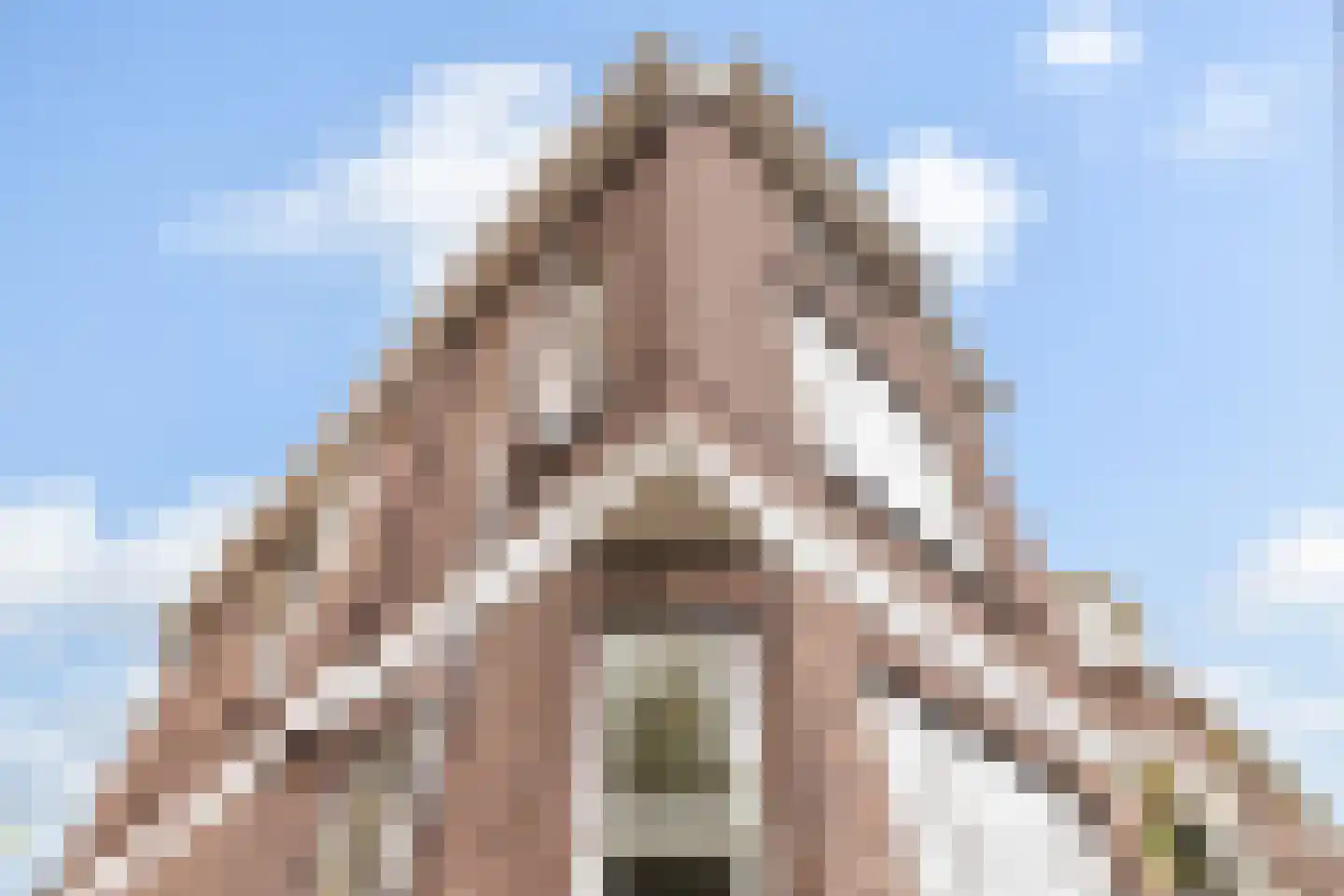 Toulonselaan 2 Dordrecht thumbnail 41