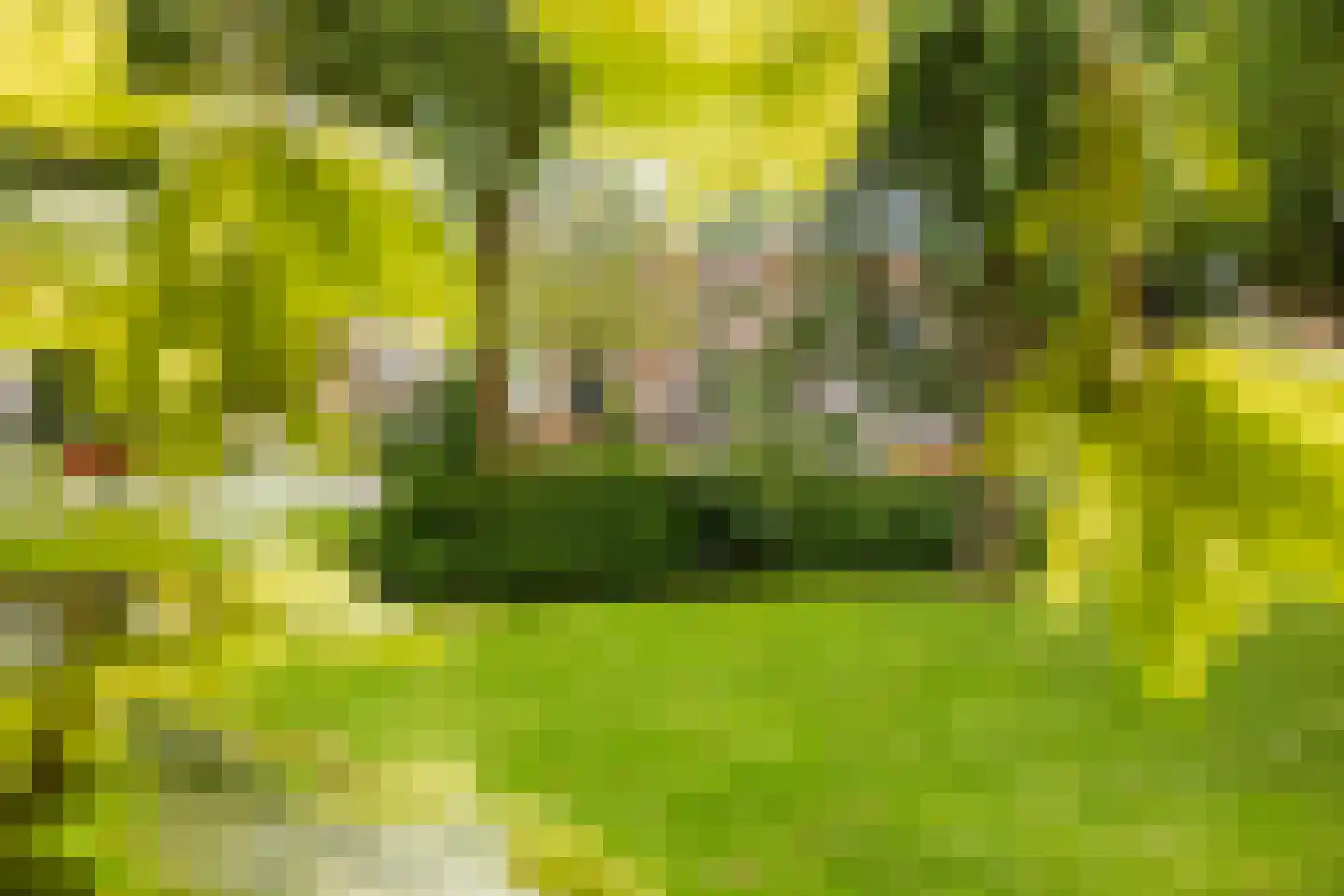 Toulonselaan 2 Dordrecht thumbnail 61