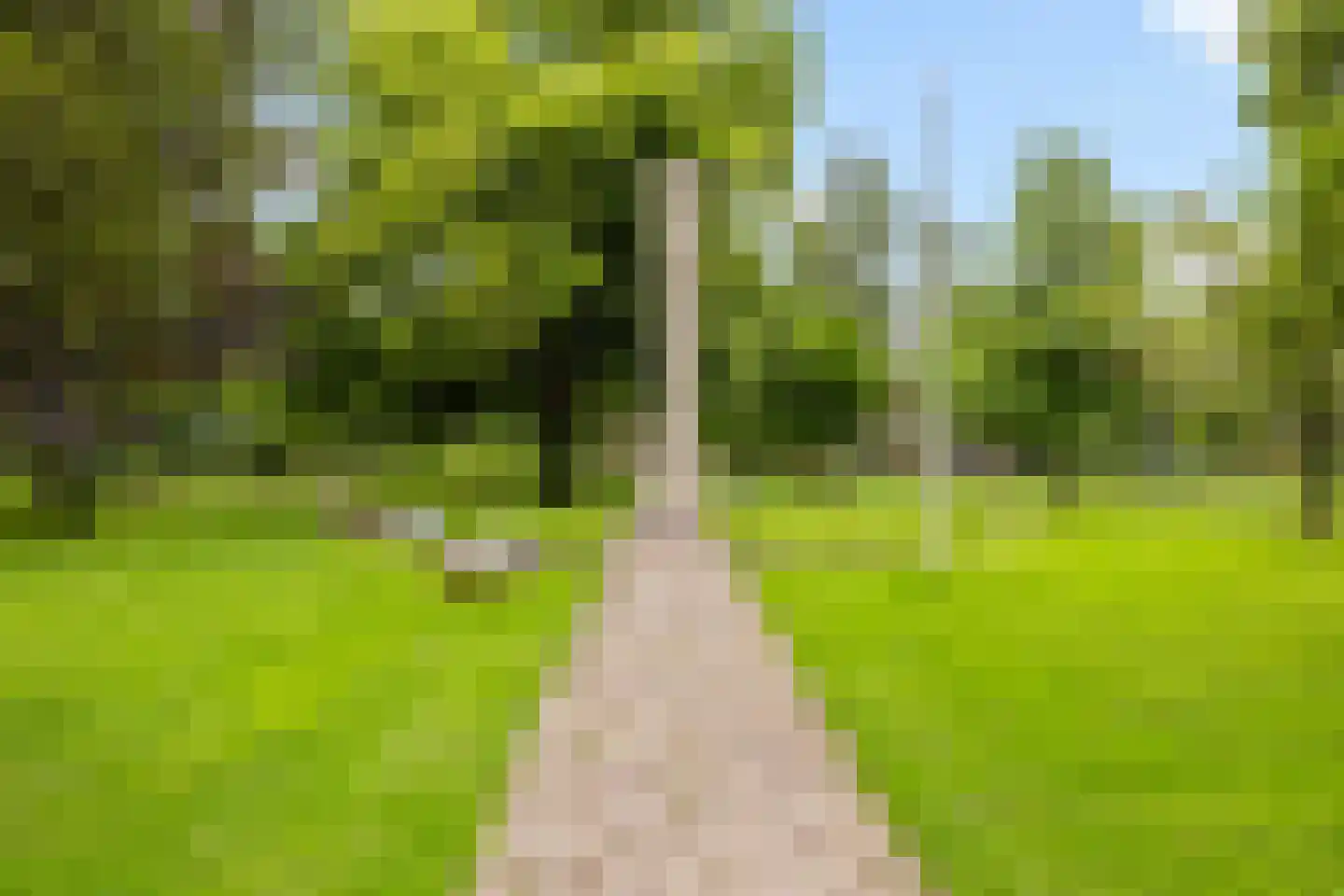 Toulonselaan 2 Dordrecht thumbnail 63