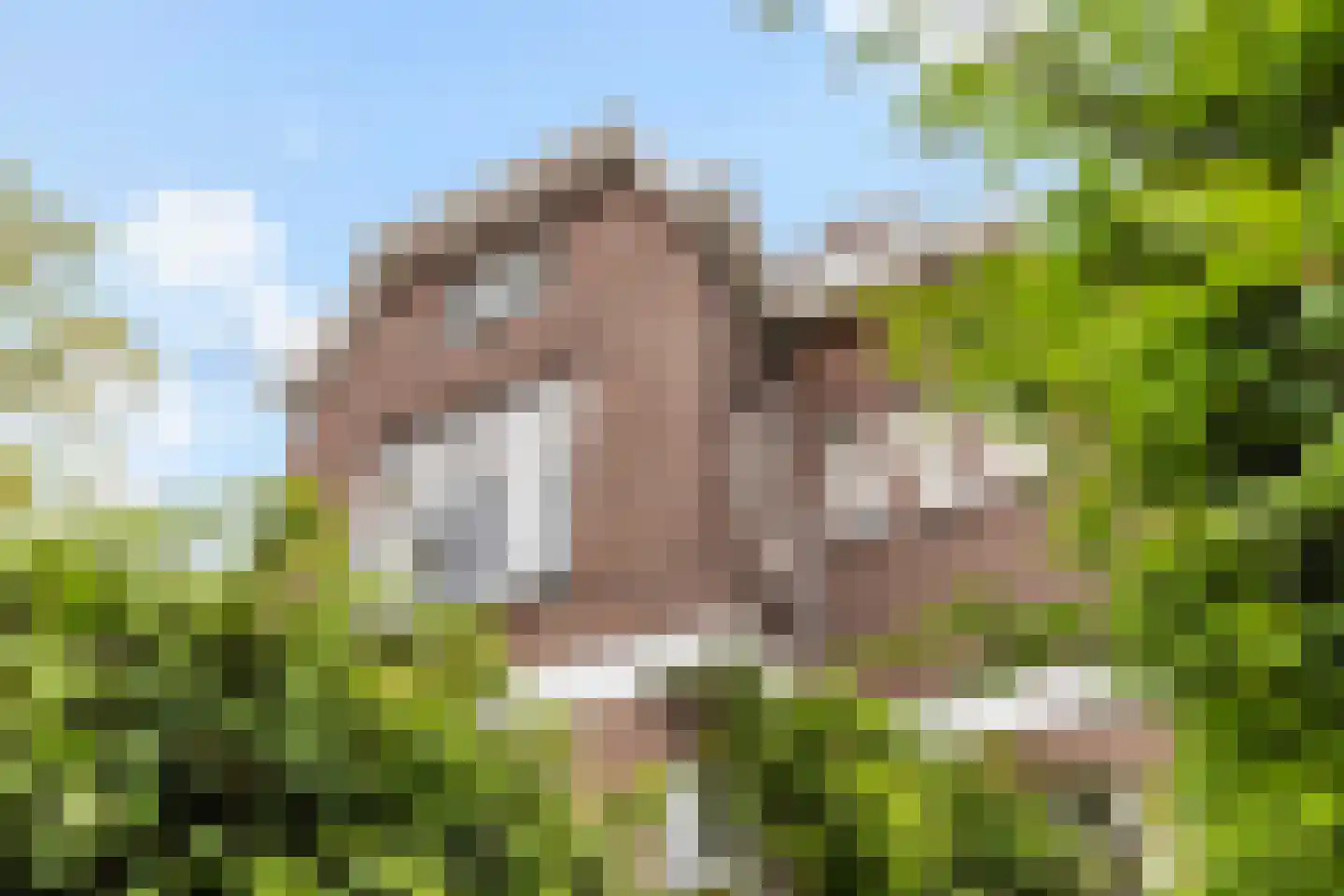 Toulonselaan 2 Dordrecht thumbnail 7