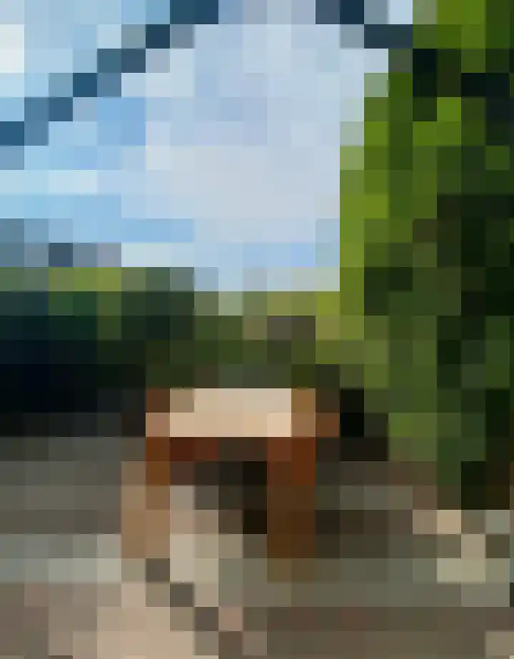 Toulonselaan 48 Dordrecht thumbnail 4