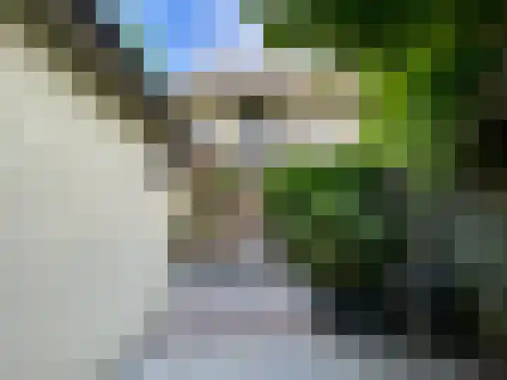 Toulonselaan 48 Dordrecht thumbnail 5