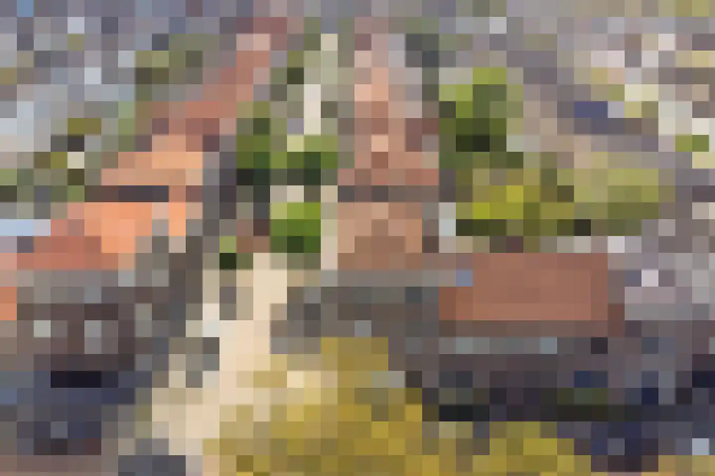 Toulonselaan 62 Dordrecht thumbnail 53