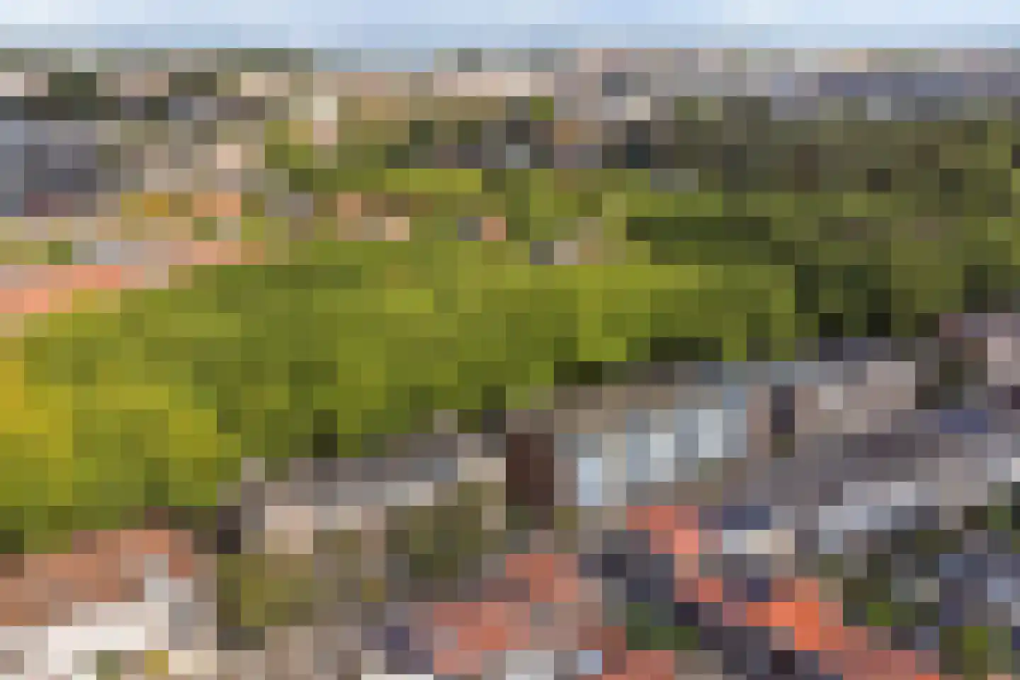 Toulonselaan 62 Dordrecht thumbnail 9