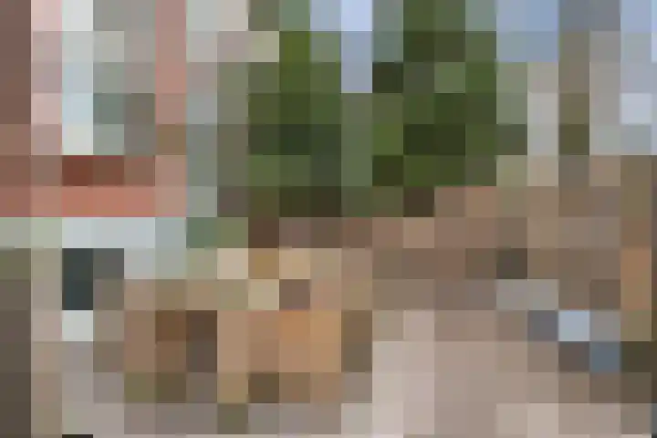 Toulonselaan 89 Dordrecht thumbnail 34