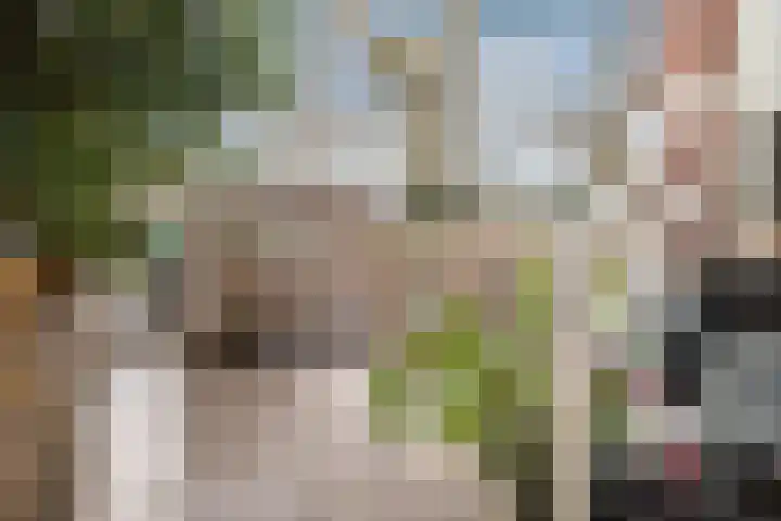 Toulonselaan 89 Dordrecht thumbnail 37