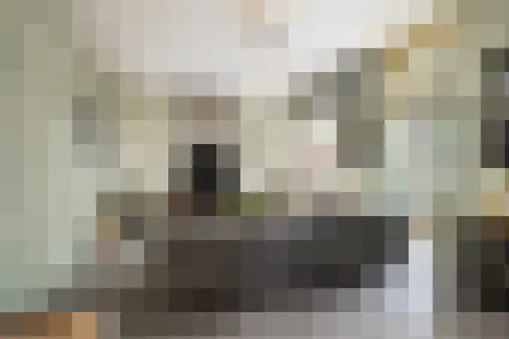 Toulonselaan 89 Dordrecht thumbnail 6