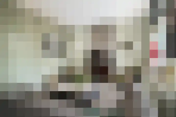 Toulonselaan 89 Dordrecht thumbnail 7