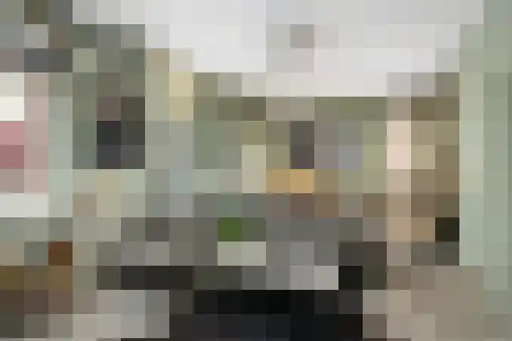 Toulonselaan 89 Dordrecht thumbnail 8