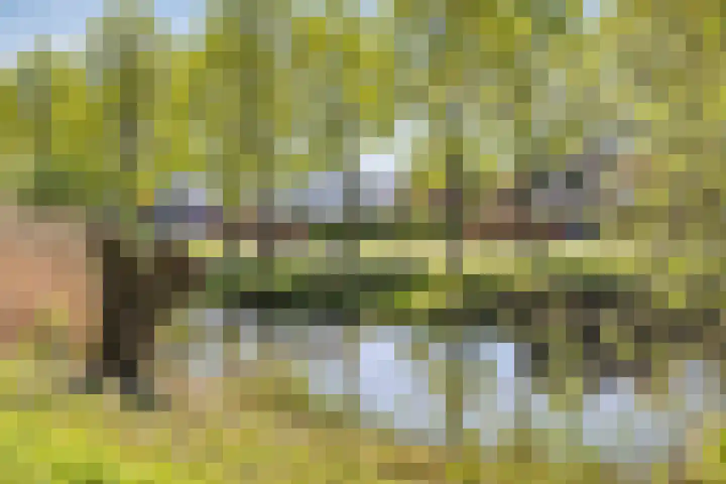 Toulousestraat 38 Hengelo thumbnail 36