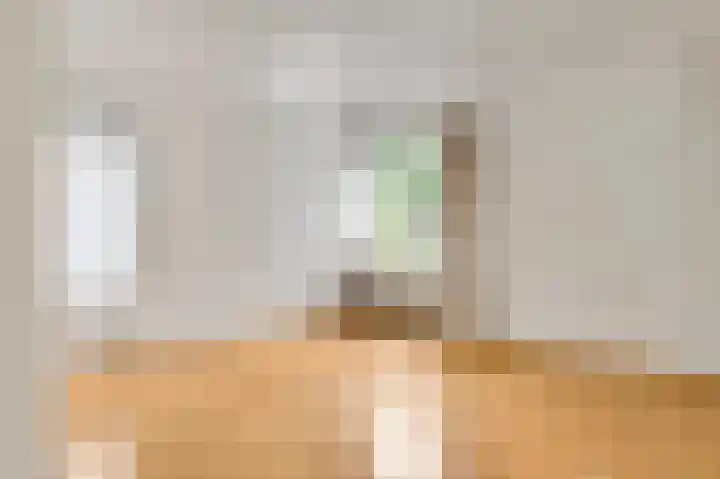 Toumweg 4 Haelen thumbnail 12