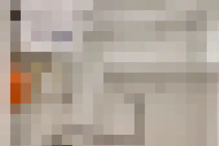 Toumweg 4 Haelen thumbnail 15