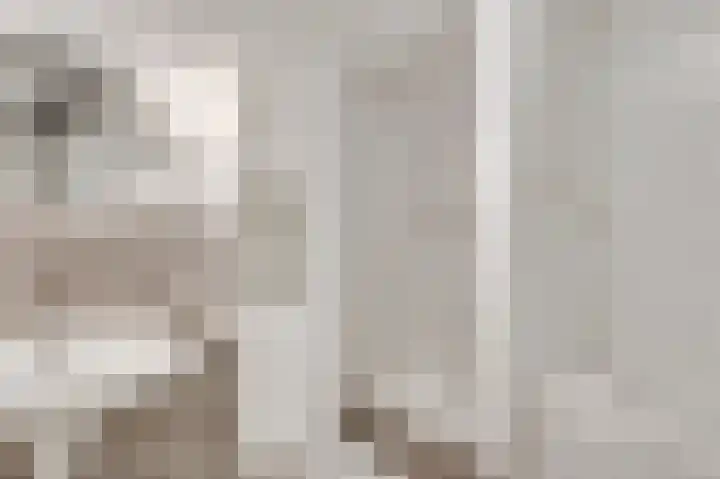 Toumweg 4 Haelen thumbnail 21