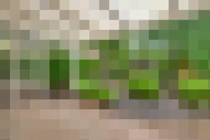 Toumweg 4 Haelen thumbnail 26