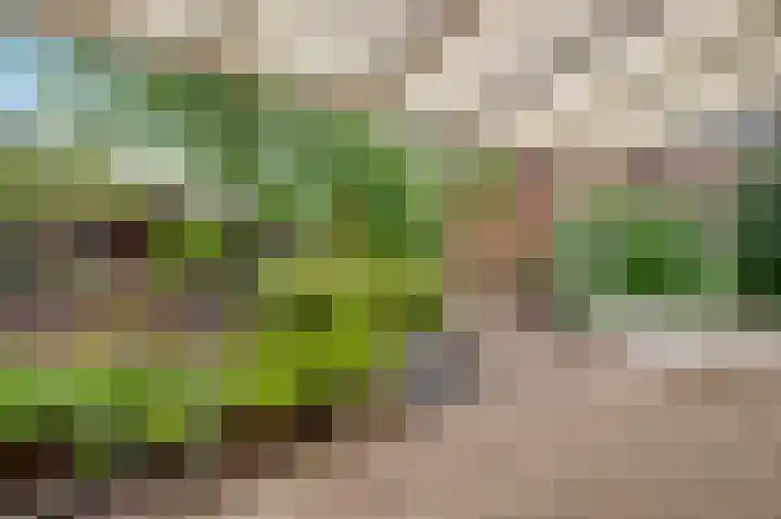 Toumweg 4 Haelen thumbnail 27