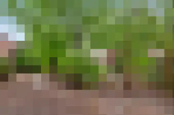 Toumweg 4 Haelen thumbnail 30