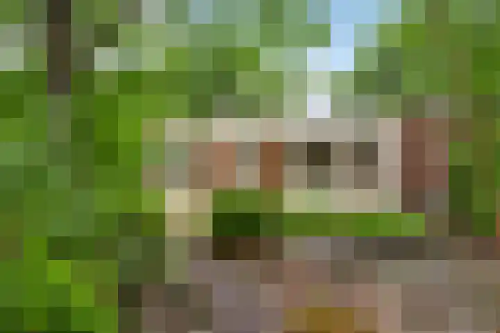 Toumweg 4 Haelen thumbnail 31