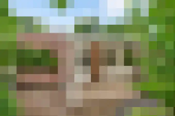 Toumweg 4 Haelen thumbnail 32