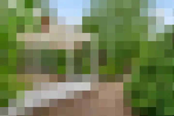 Toumweg 4 Haelen thumbnail 33