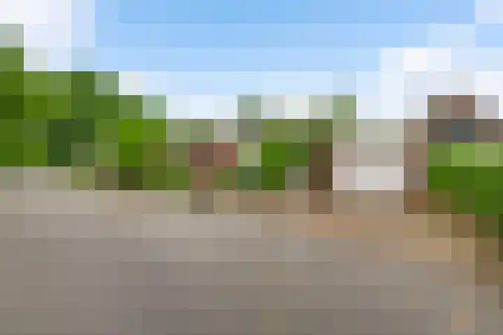 Toumweg 4 Haelen thumbnail 34