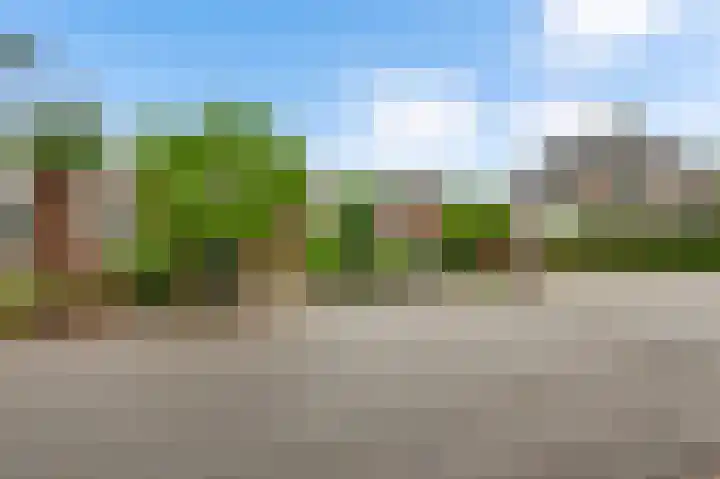 Toumweg 4 Haelen thumbnail 38