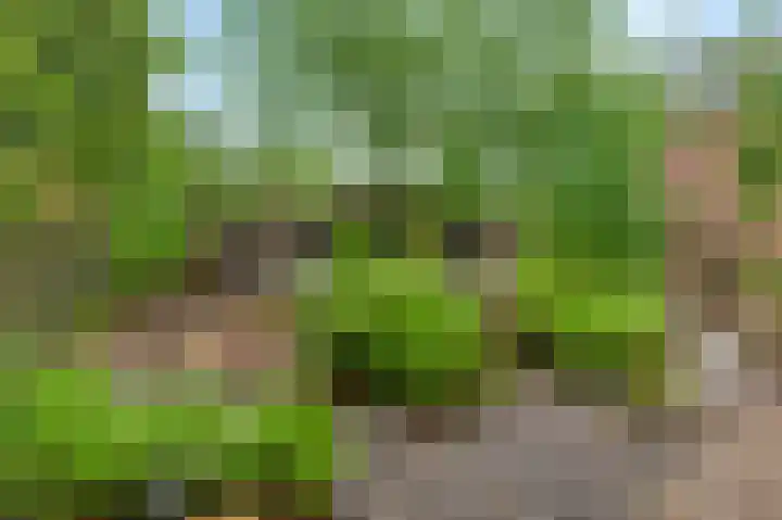 Toumweg 4 Haelen thumbnail 4