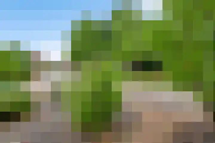 Toumweg 4 Haelen thumbnail 40