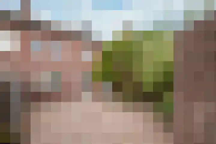 Toupsbergstraat 107 Kerkrade thumbnail 14