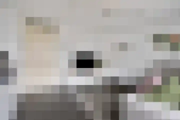 Toupsbergstraat 62 Kerkrade thumbnail 8
