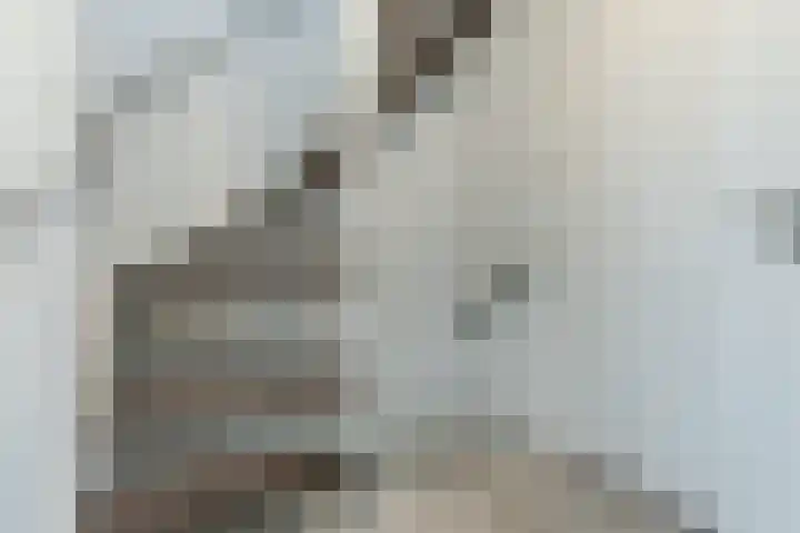 Tourmaletstraat 71 Tilburg thumbnail 12
