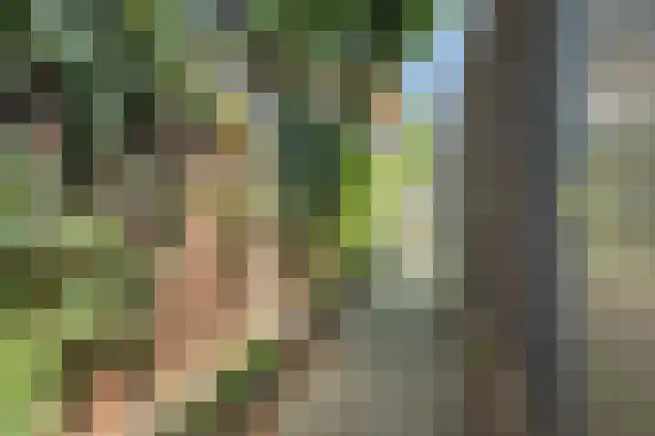 Tourmaletstraat 71 Tilburg thumbnail 28