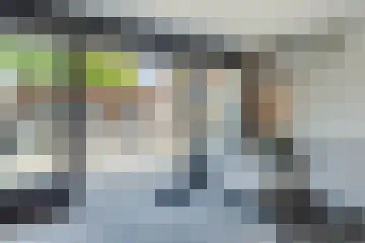 Tourmaletstraat 71 Tilburg thumbnail 4