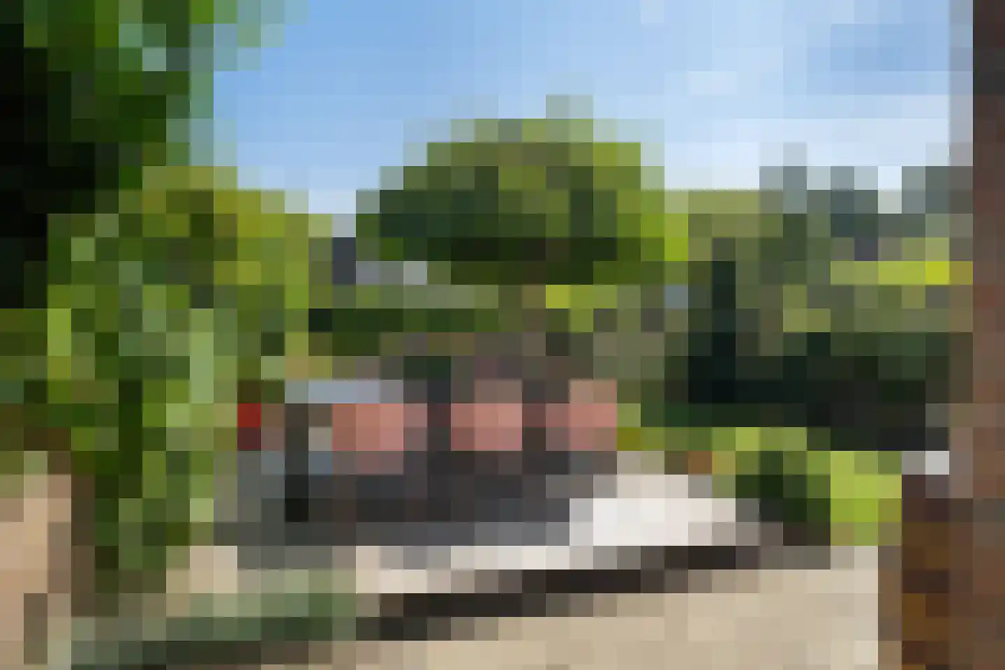 Tourmalijn 1 's-Gravenzande thumbnail 12