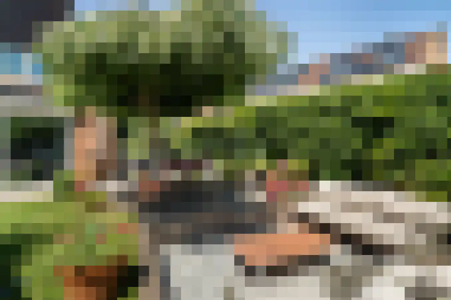 Tourmalijn 1 's-Gravenzande thumbnail 15