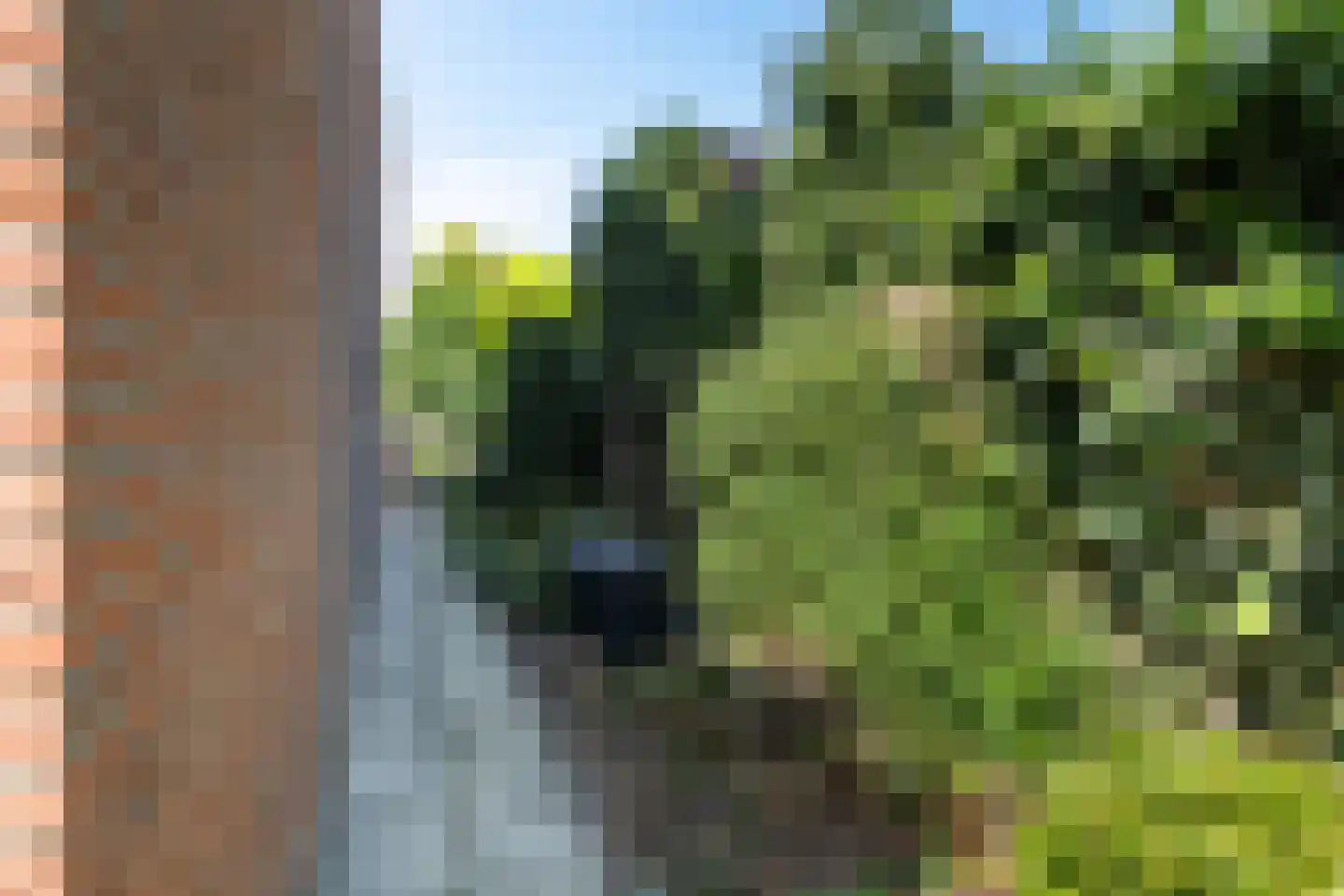 Tourmalijn 1 's-Gravenzande thumbnail 18