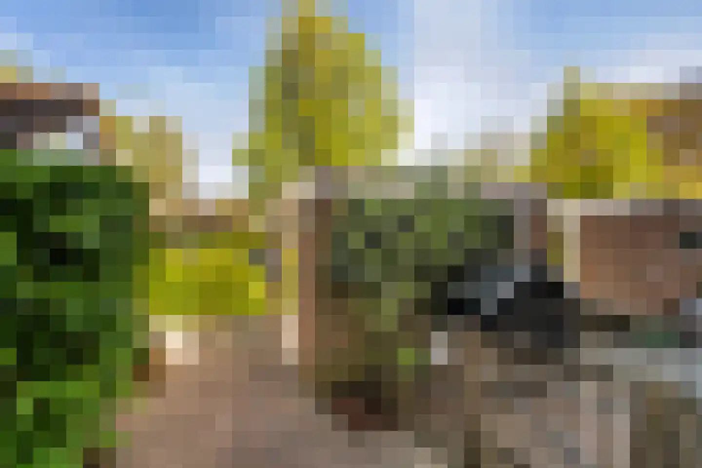 Tourmalijn 20 's-Gravenzande thumbnail 46