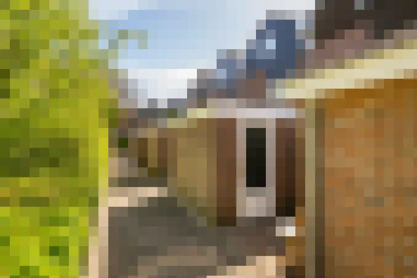 Tourmalijn 20 's-Gravenzande thumbnail 47