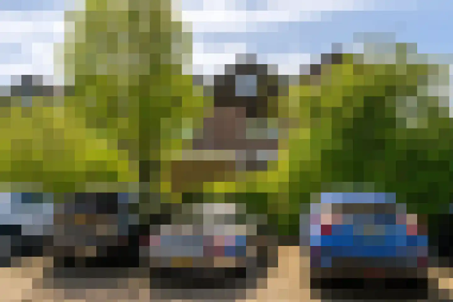 Tourmalijn 20 's-Gravenzande thumbnail 48