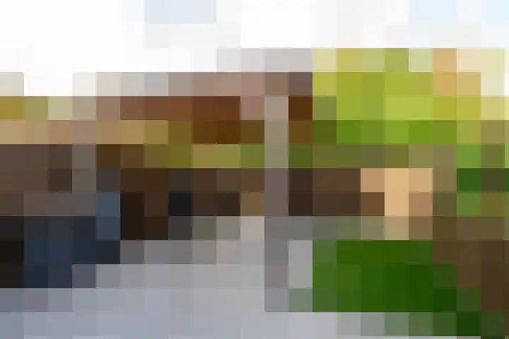 Tourmalijn 36 's-Gravenzande thumbnail 13