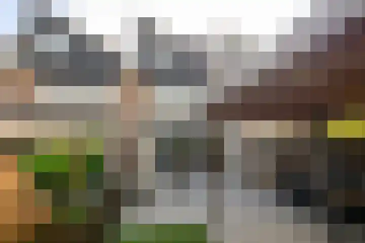 Tourmalijn 36 's-Gravenzande thumbnail 14