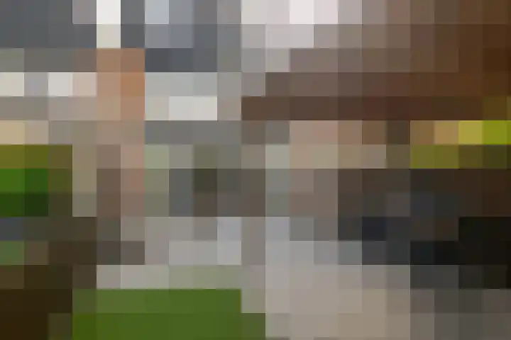 Tourmalijn 36 's-Gravenzande thumbnail 15