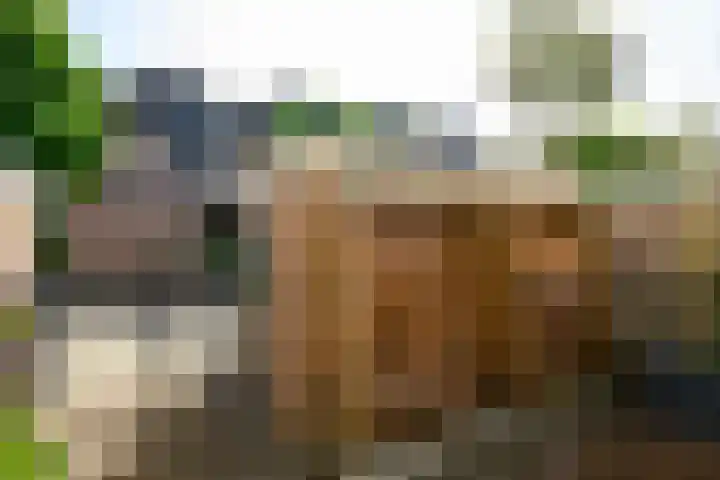 Tourmalijn 36 's-Gravenzande thumbnail 37