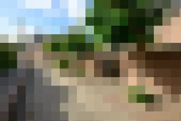 Tourmalijn 36 's-Gravenzande thumbnail 39