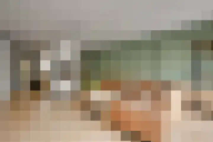 Tourmalijn 36 's-Gravenzande thumbnail 8