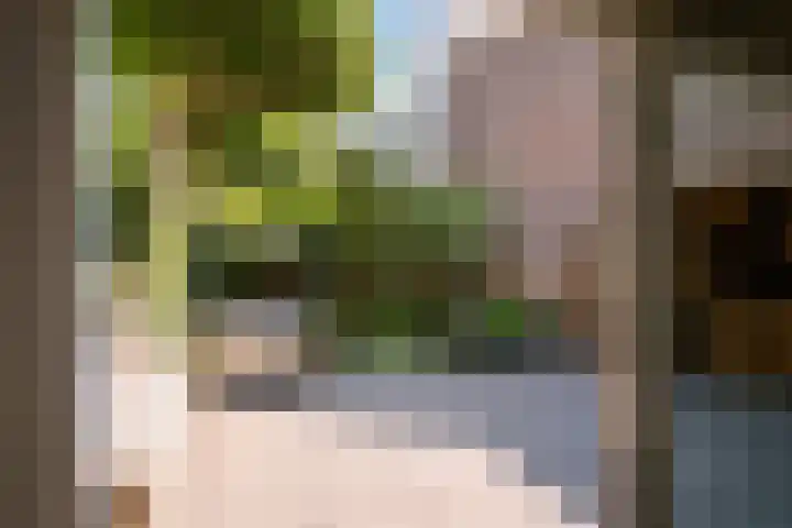 Tourmalijn 37 's-Gravenzande thumbnail 19