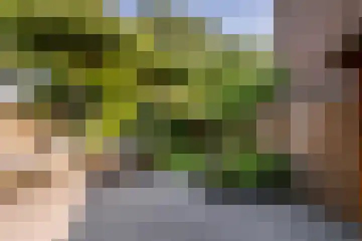 Tourmalijn 37 's-Gravenzande thumbnail 21