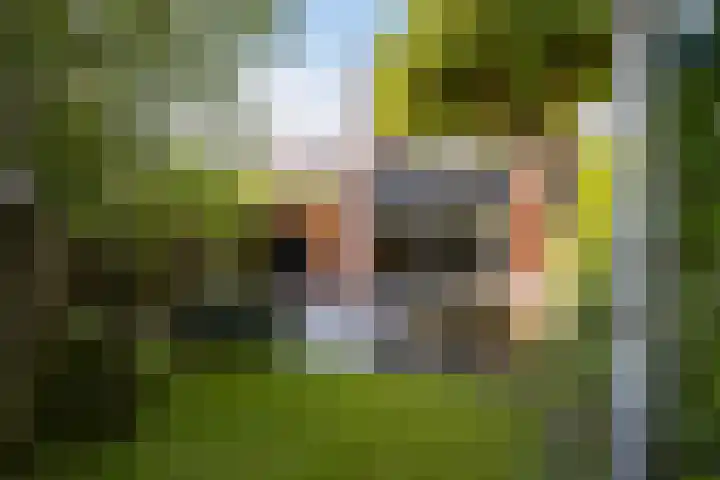 Tourmalijn 37 's-Gravenzande thumbnail 41