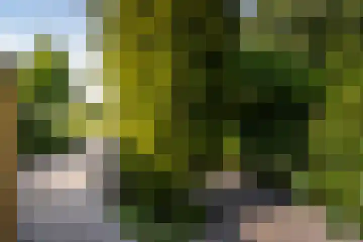 Tourmalijn 37 's-Gravenzande thumbnail 49